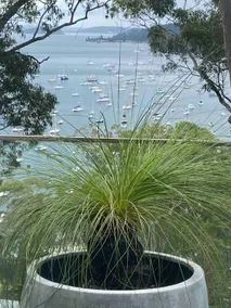 Clareville - Studio with expansive Pittwater views - Image 5