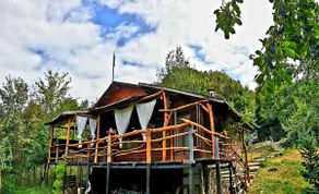 Mystically Wood House in The Forest - Image 4