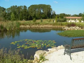 La Roseraie superb gîte**** sleeps 7 - Image 4
