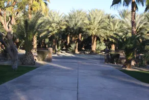 Beautiful 1 Acre Property-Private area - Image 3