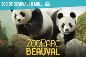 L'échappée Belle Gîte 6 minutes from Beauval Zoo - Image 3