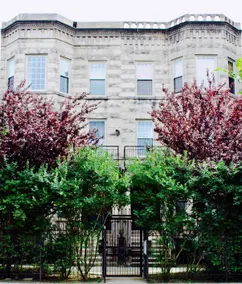 19c. Greystone 3 bd/2ba near UChicago Med Center - Image 2