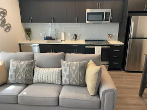 NEW One Bedroom McLean Metro - Image 2