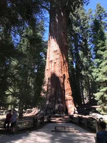 ~ Oak Haven Cottage ~ Sequoia National Park - Image 3
