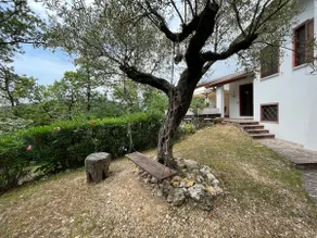 The House on the Hill - Image 2