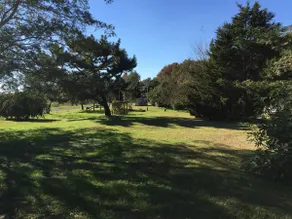 Bowers Beach: A Slice of Paradise - Image 3