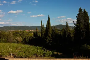 Apt Alice - Apartment in the Vineyards - Image 2