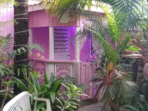 PINKSHACK STUDIO COTTAGE IN JUNGLE THEMED PATIO GARDEN - Image 2