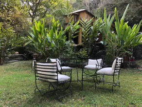 Royal turkey sanctuary. Casa Chalacas - Image 3