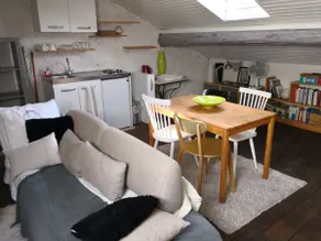 Duplex in Nancy with garage (complete accommodation) - Image 3