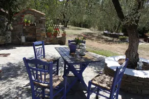 House in an olive grove, near the sea - Image 4