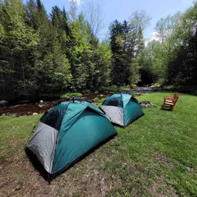 Vermont cabin on a brook close to White Mountains VAST - Image 4