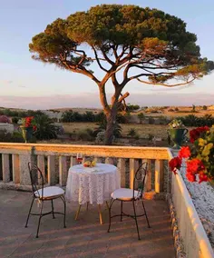 Villa Castiglione 1863 - The real Sicilian holiday - Image 4