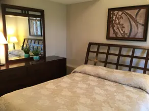 Large 2 Bedroom near Bellevue, Seattle and Airport - Image 5