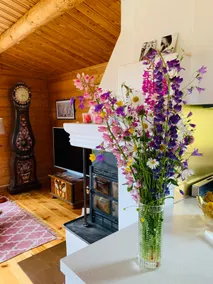 Ski cottage by Vasaloppet - Image 3