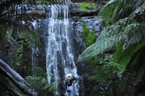 Cottage with private Rainforest and Waterfalls in Tanybryn, Victoria - Image 3