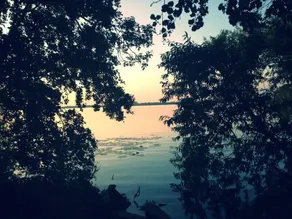 Dream cottage on the water - Image 2