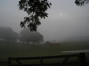 Tellico Farm Cottage - Image 3