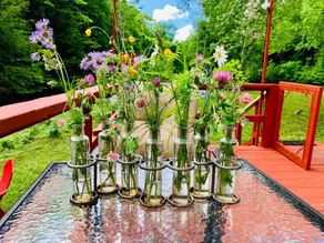 Peaceful Creekside Retreat! - Image 2