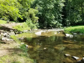 Privat hytte på 11 hektar, 1500ft af Stocked Trout Stream, WIFI, Hot Tub - Image 4