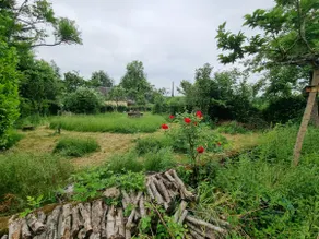 Quiet cottage • Thermal baths within walking distance • Parking • Pets OK - Image 3