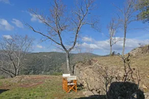 Can Comella - Image 3