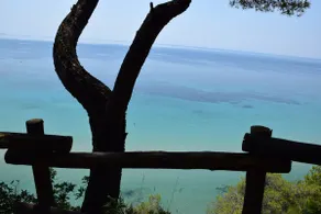 Filyra Forest House - Image 4
