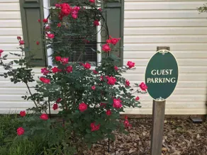 Toccoa Guesthouse. - Image 5