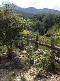 Charming and comfortable house in the Pyrenees - Image 3