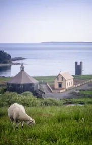 Seaside Schoolhouse at Shobac Farm - Image 2