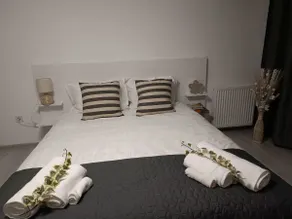Carmen's nest - Image 2