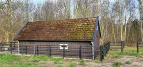 Skogshaga, Accommodation in the middle of an idyllic outdoor area - Image 4