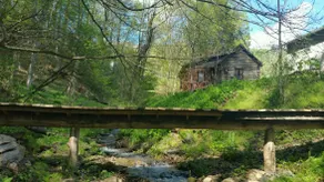 Creek-side Cabin Downtown Boone - Image 4