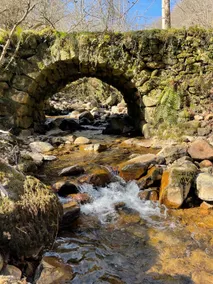 River Cabin - Image 4