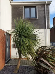 'Coastal Soul' 2 bedroom house - Image 2