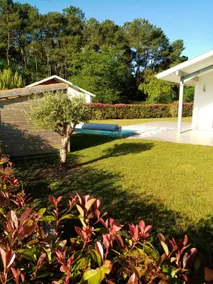 90 m2 villa with pool, on the edge of the forest - Image 2