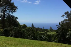 Rolig kaffefarm i de kølige Kona-højland med udsigt over havet - Image 5