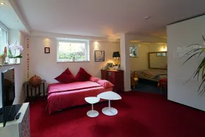 Rest and relaxation / nature / yoga in the basement - Image 2