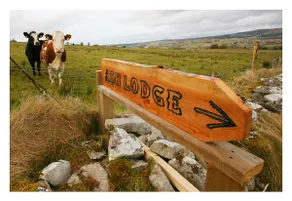 Ash Lodge - Image 2