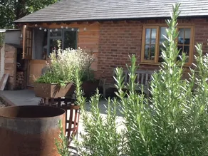 Beautifully renovated rooms in the New Forest - Image 2