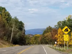 Gorgeous views from charming headquarters in the heart of the Finger Lakes - Image 4