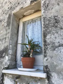 Nonna Carmela's house - Image 3