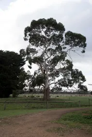 Bernarra Cottage - Image 4