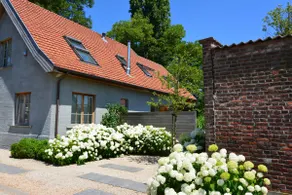 De Borgerij, renovated farmhouse for 16 people - Image 2