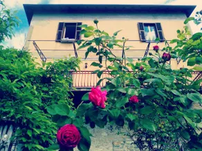 Cà Giulietto, an ancient farmhouse in the countryside - Image 2