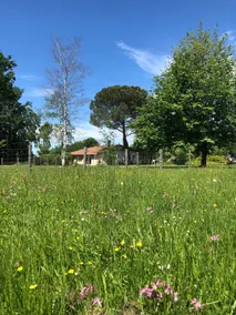 Gîte de la Sonnette - Image 5