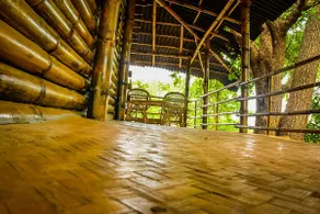 Bamboo House in a Lush Forest - Image 2