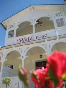 Fewo Wittow Pension Waldrose - Image 4