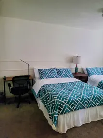 The Comfy Lemon - Image 3