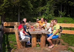 Alpine hut in Carinthia in a very nice setting - Image 5